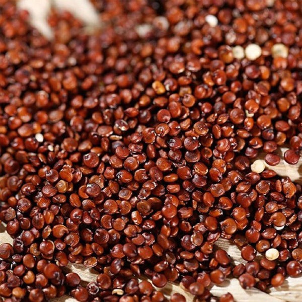 Red Quinoa Planting Seeds, 30 Grams ≈ 11000 Seeds