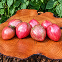 472 Dean's Wicked Plum Tomato, 5 Seeds