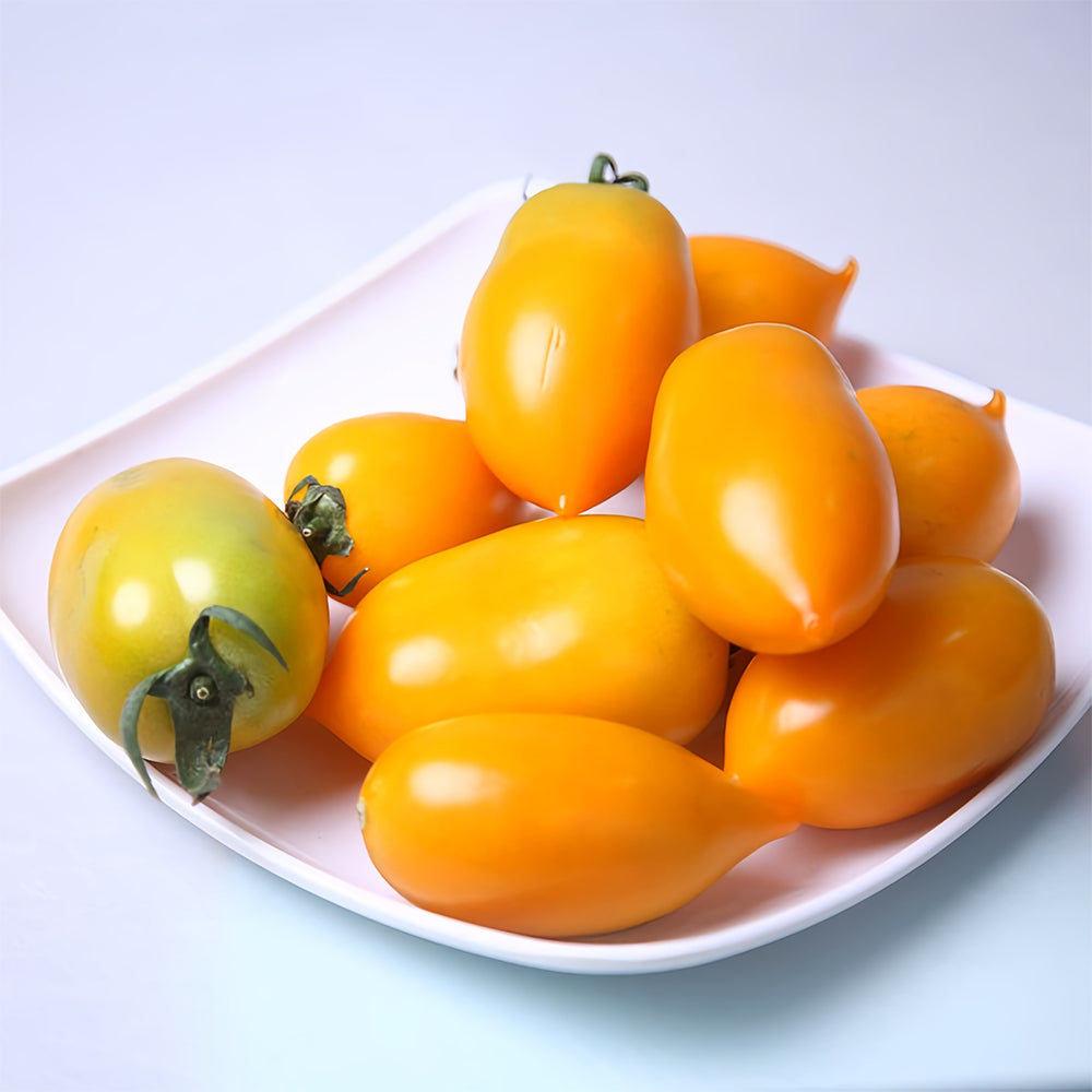 'Radiant Gold' Yellow Tomato Seeds