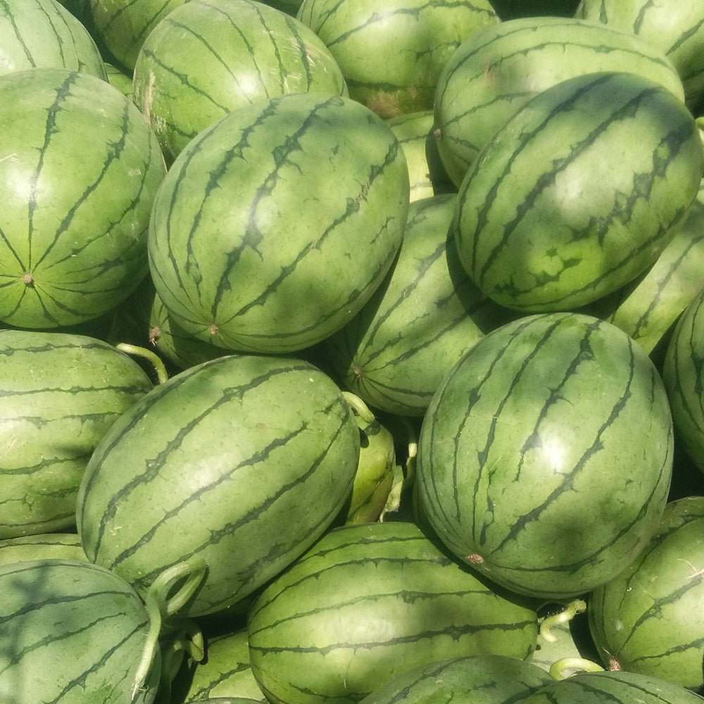 'Xiaoyu Peeling' Series Watermelon Seeds