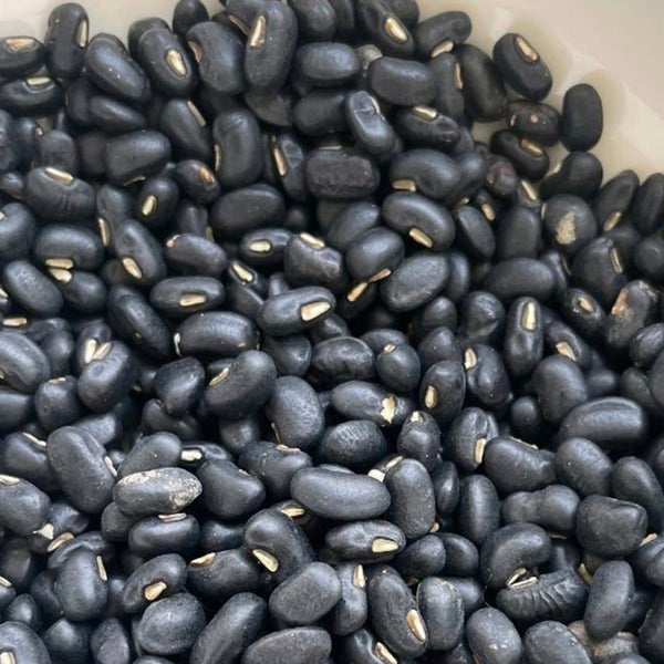 Black Cowpea, 50 Seeds