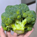 Broccoli Seeds, 50 Grams ≈ 13000~16500 Seeds