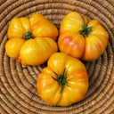 322 Mortgage Lifter Bi-Color Tomato, 5 Seeds