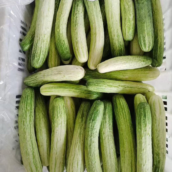'Yanbai No.7' Long Green-and-white Cucumber Hybrid Seeds, 1g
