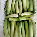 'Yanbai No.7' Long Green-and-white Cucumber Hybrid Seeds, 1g