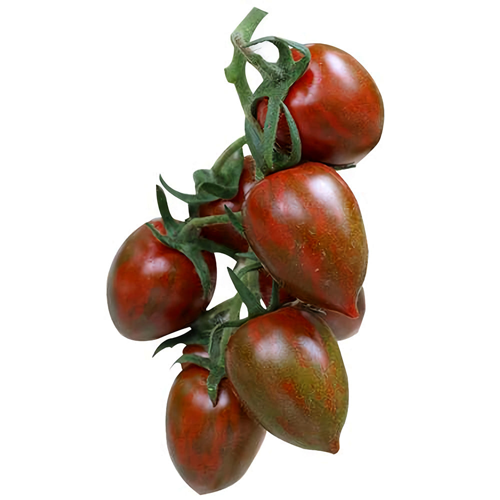 'Strawberry' Tomato Seeds