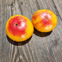 328 Weary Sun Tomato, 5 Seeds