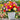 W1342 Dwarf Double Zinnia Mix, 100 Seeds