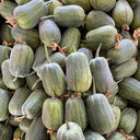 Taiwan Apple Luffa Seeds, 10g