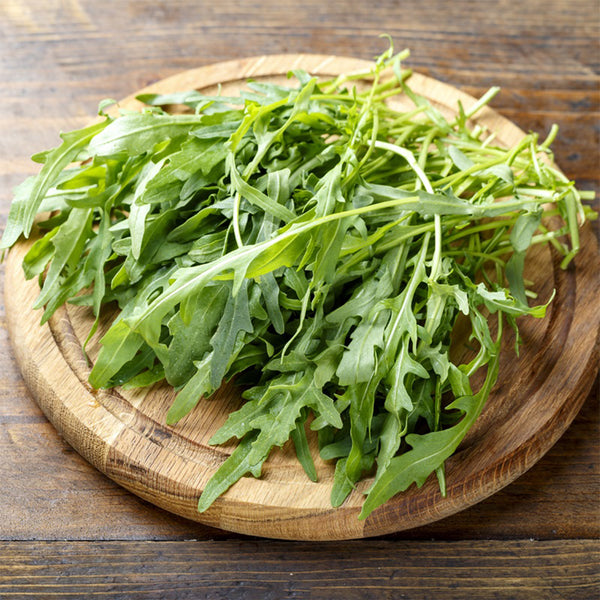 Italian Wild Arugula Seeds