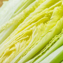 'Green Bamboo 70' Chinese Cabbage Seeds, 20g