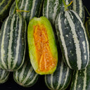Shengmei No.1 F1 Melon, 200 Seeds
