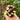 No.8 Red Pole Bean Seeds, 10g