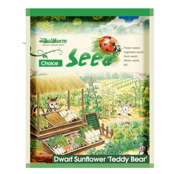 'Teddy Bear' Dwarf Sunflower Seeds