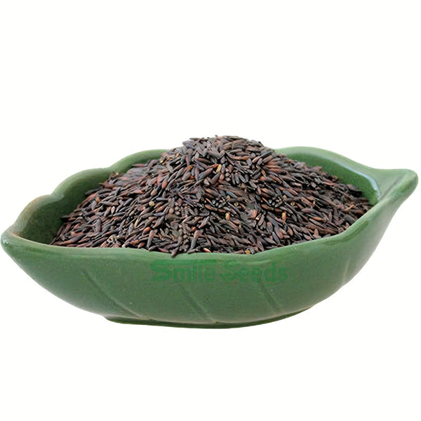 Wavyleaf Sea Lavender Seeds