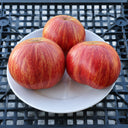 316 Lush Queen Tomato, 5 Seeds