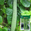 Meiling No.2 Luffa Seeds, 10g