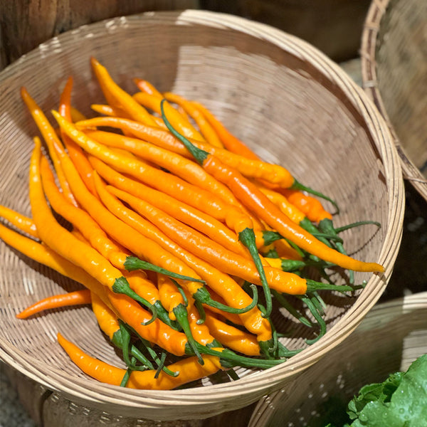 'Yellow La Mei' Long Chili Pepper Seeds, 2g