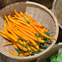 'Yellow La Mei' Long Chili Pepper Seeds, 2g