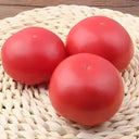 Jinpeng No.3 Tomato F1 Seeds, 5g