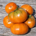 196 Kiwanis Tomato, 5 Seeds