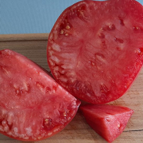 1064 Minusinsk Lord Tomato, 5 Seeds