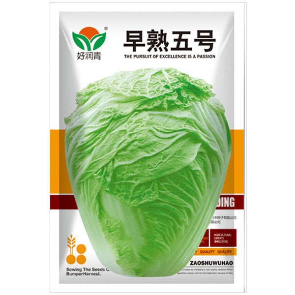 Early-maturing No.5 Chinese Cabbage Seeds, 5 × 5g Bags