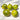 1112 Dwarf Emerald Flame F7 Tomato, 5 Seeds