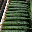 'Fuyang 35' F1 Cucumber Seeds, 25g