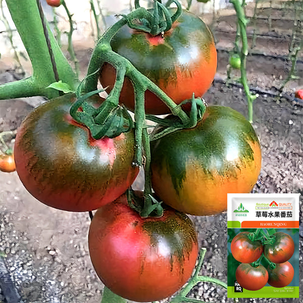 'Strawberry Fruit' Tomato