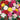 Chabaud Mixed Color Carnation, 15 Seeds