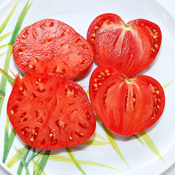 194 Boersi 40 Tomato, 5 Seeds