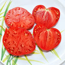 194 Boersi 40 Tomato, 5 Seeds