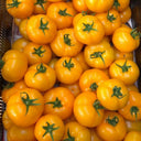 Amish Gold Tomato, 15 Seeds