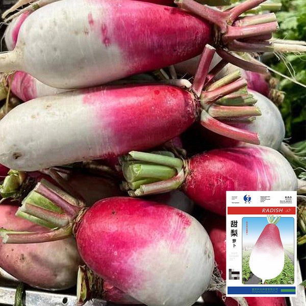 Sweet Pear' Radish Seeds, 10g