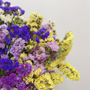 Wavyleaf Sea Lavender (mixed) Seeds, 200 Seeds
