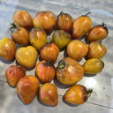 826 Fiery Red Comet Tomato, 5 Seeds
