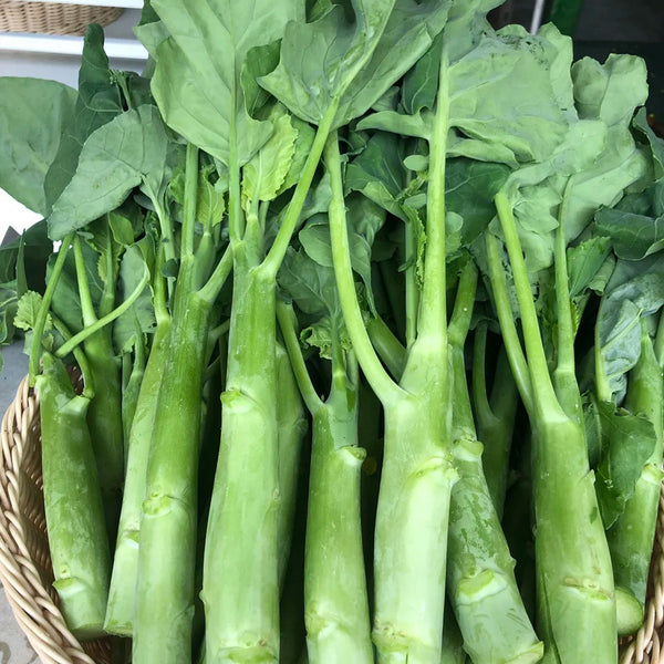 'Nongyan Yellow Flower' Chinese Kale Seeds, 20g