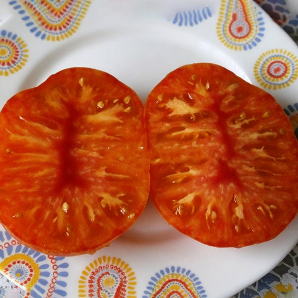 591 Dwarf DSA Tomato, 5 Seeds