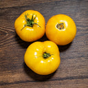 465 Golden Filling Tomato, 5 Seeds