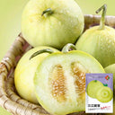 Sanjiang Tianbao Muskmelon Seeds, 5g