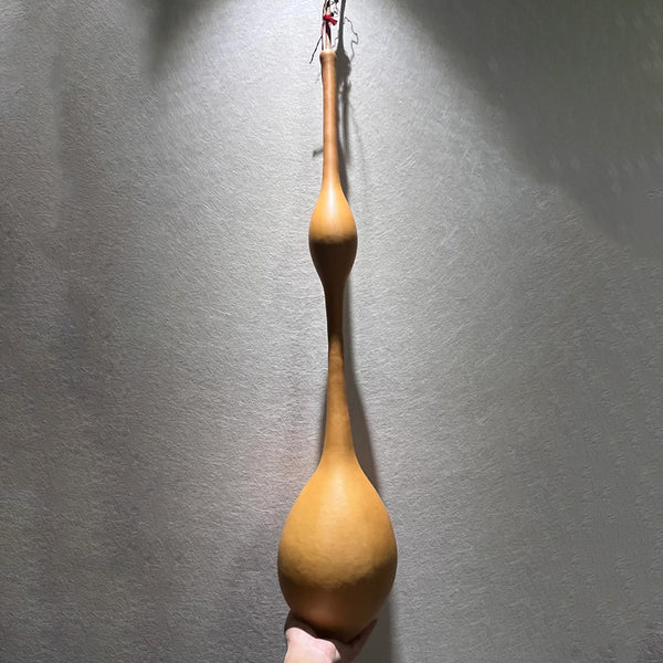 Wild Goose Neck Gourd, 5 Seeds