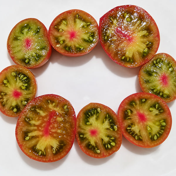 257 Viper Bicolor Unstriped Tomato, 5 Seeds