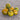 412 Dwarf Jeremy's Stripes Tomato, 5 Seeds