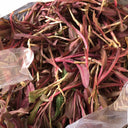 Xinte Wild Purple Qumai Chicory Seeds, 1g