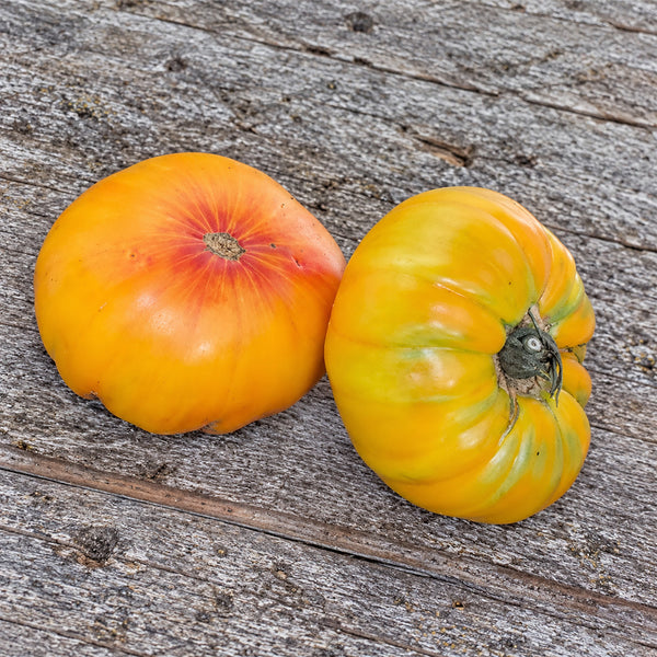 185 Tuxhorn's Red and Yellow Tomato, 5 Seeds