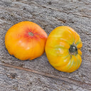 185 Tuxhorn's Red and Yellow Tomato, 5 Seeds