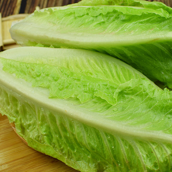 Little Gem Lettuce Seeds, 3g
