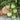 1068 Golden Veil F6 Tomato, 5 Seeds