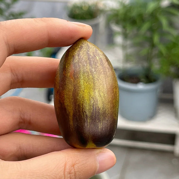 Atomic Fusion Tomato, 5 Seeds